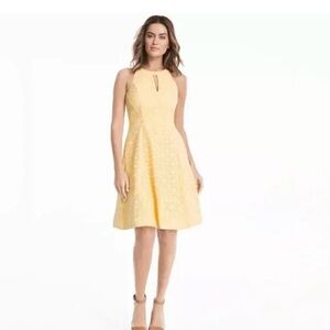 NWT White House Black Market Yellow Canary Lace Halster Aline Dress $160, Size 6